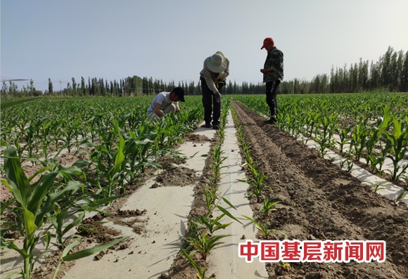 喷施农药 喷头选择有讲究