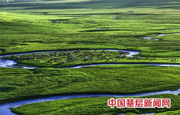 开赛倒计时2天！2024年九师白杨市第七届农民丰收节暨“白马杯”半程马拉松比赛筹备就绪，静待开跑！